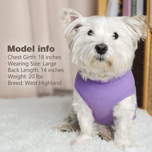 2Pack Waffle Dog Shirt for Small Dogs Soft Dog Sweater Tank Top (Large (12-18lbs) / 2Pack(Purple+Grey))