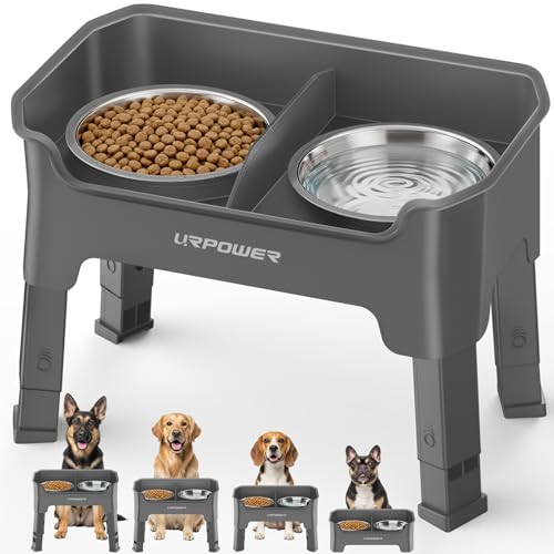 Mess Proof Elevated Dog Bowls (Grey / Medium)