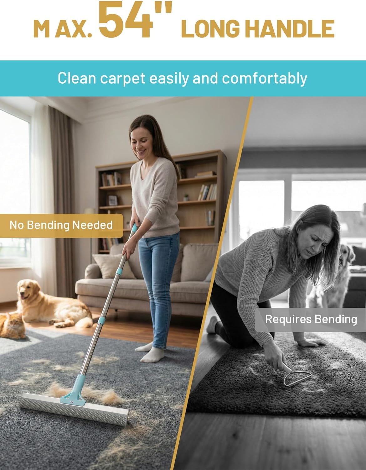 Carpet Rake for Pet Hair Removal (B: Blue)