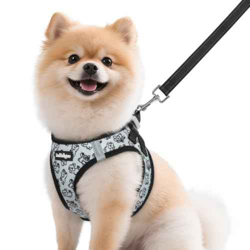 Dog Harness Small Sized and Leash Set (Grey Pups / M (Chest: 16.0"-18.5"))