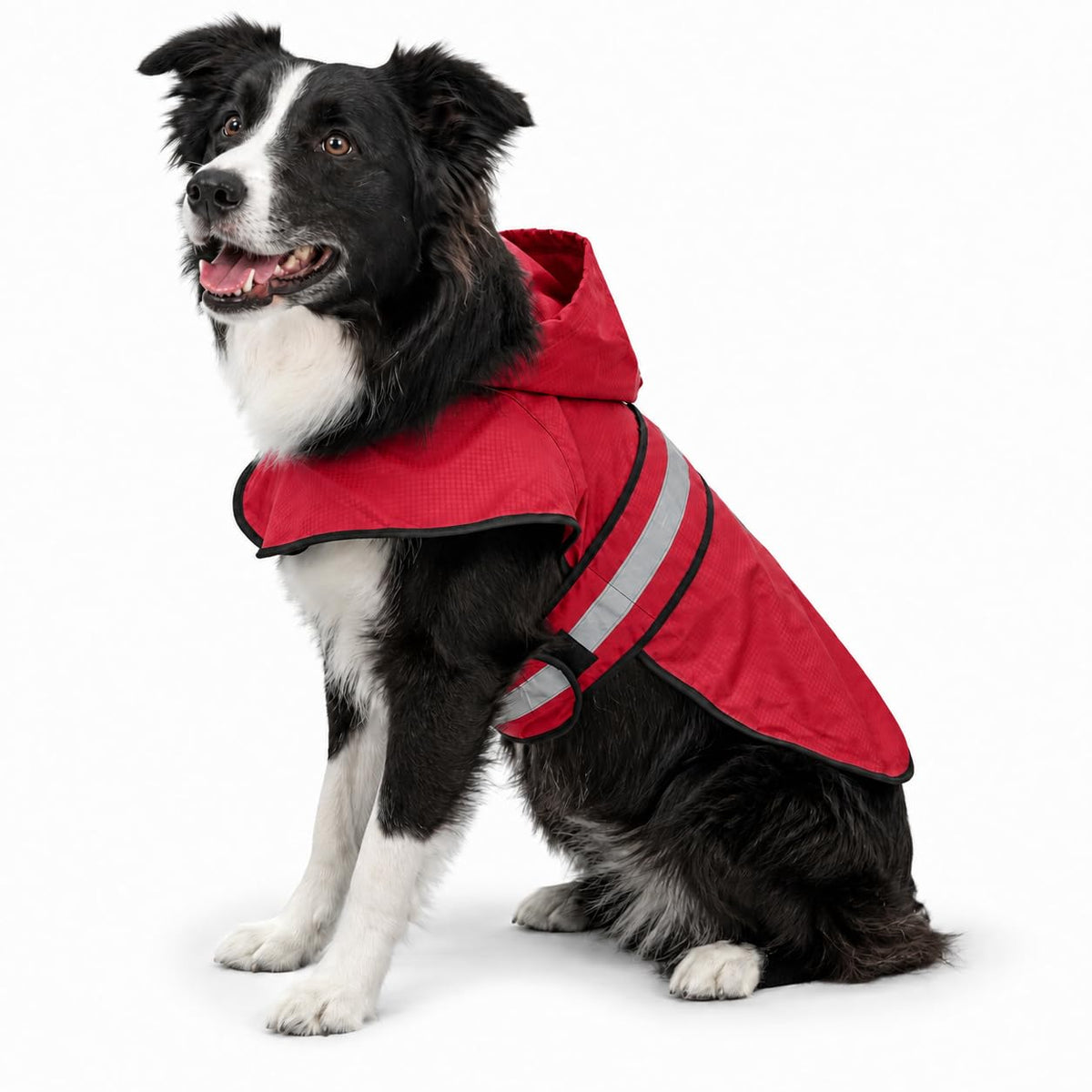 Dogg Toggs Raincoat (Red / Medium)