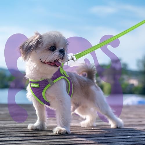 Dog Harness Small Sized and Leash Set (Purple & Green / XXS (Chest: 12.4"-14.2"))