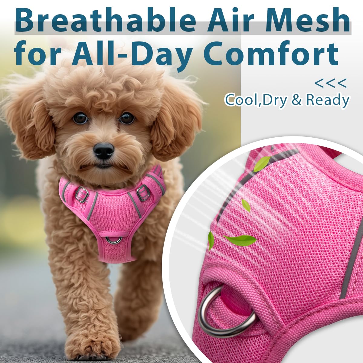 No Pull Dog Harness for Small Sized Dogs (Pink / X-Small(Chest:14.6-19.6”))