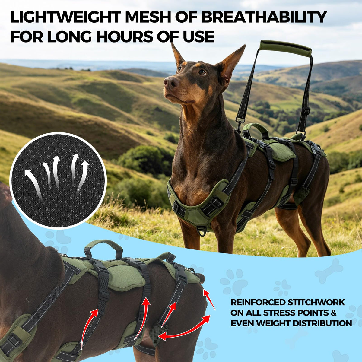 Dog Lift Harness for Medium Dogs (Green / Medium)