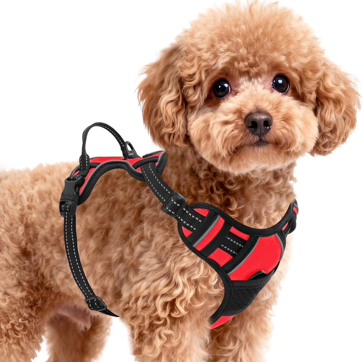 Dog Harness for Small Sized Dog No Pull 2 Leash Clips Dog Vest (Red / Small)