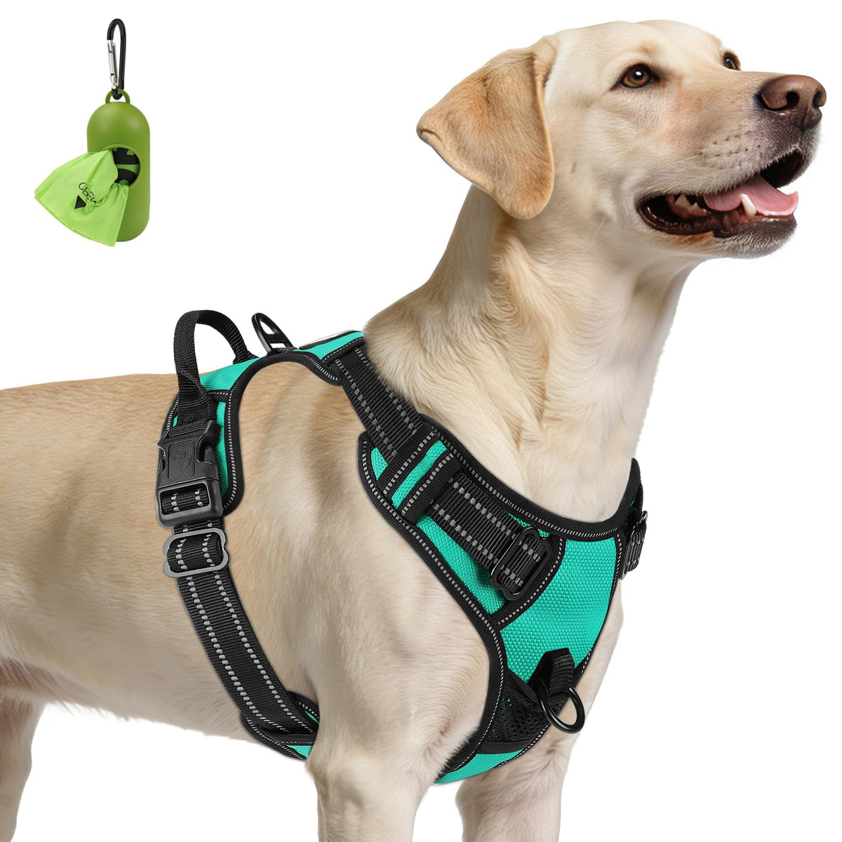 No Pull Dog Harness for Large Dogs (Large / Teal)