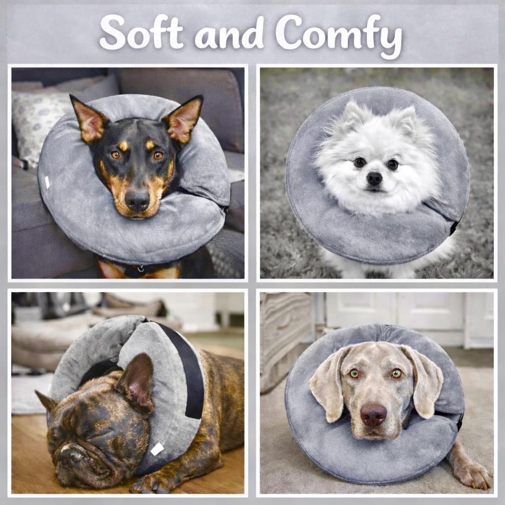 Inflatable Dog Cone Collar Alternative (Grey / S [8"-13"])