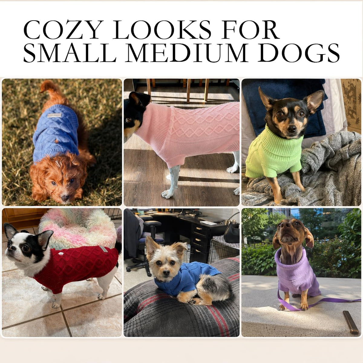 Medium Dog Sweaters (Blue / Large)