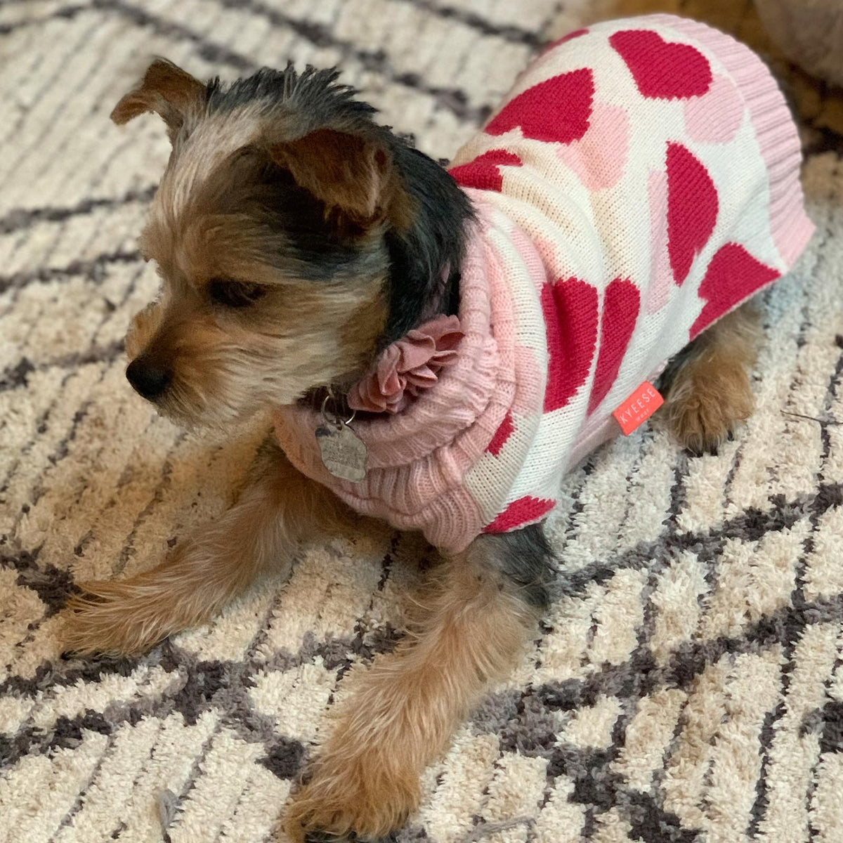 Valentines Dog Sweater (Small (4-7lbs) / Valentine)