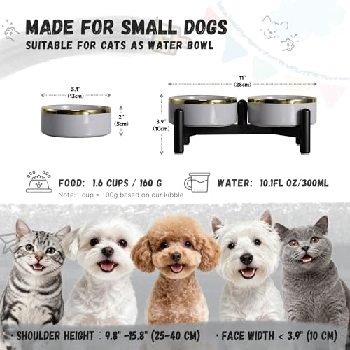 Ceramic Elevated Dog Bowl Set (Grey / 1.6 Cups)