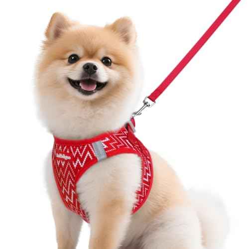 Dog Harness Small Sized and Leash Set (Red Wave / M (Chest: 16.0"-18.5"))