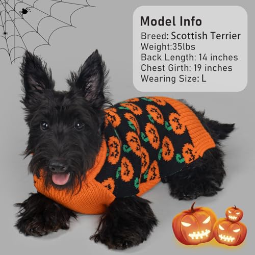 Dog Halloween Sweater for Medium Dog Pumpkin Outfit for Holiday Wear (X-Large (19-27lbs) / 02#Halloween)
