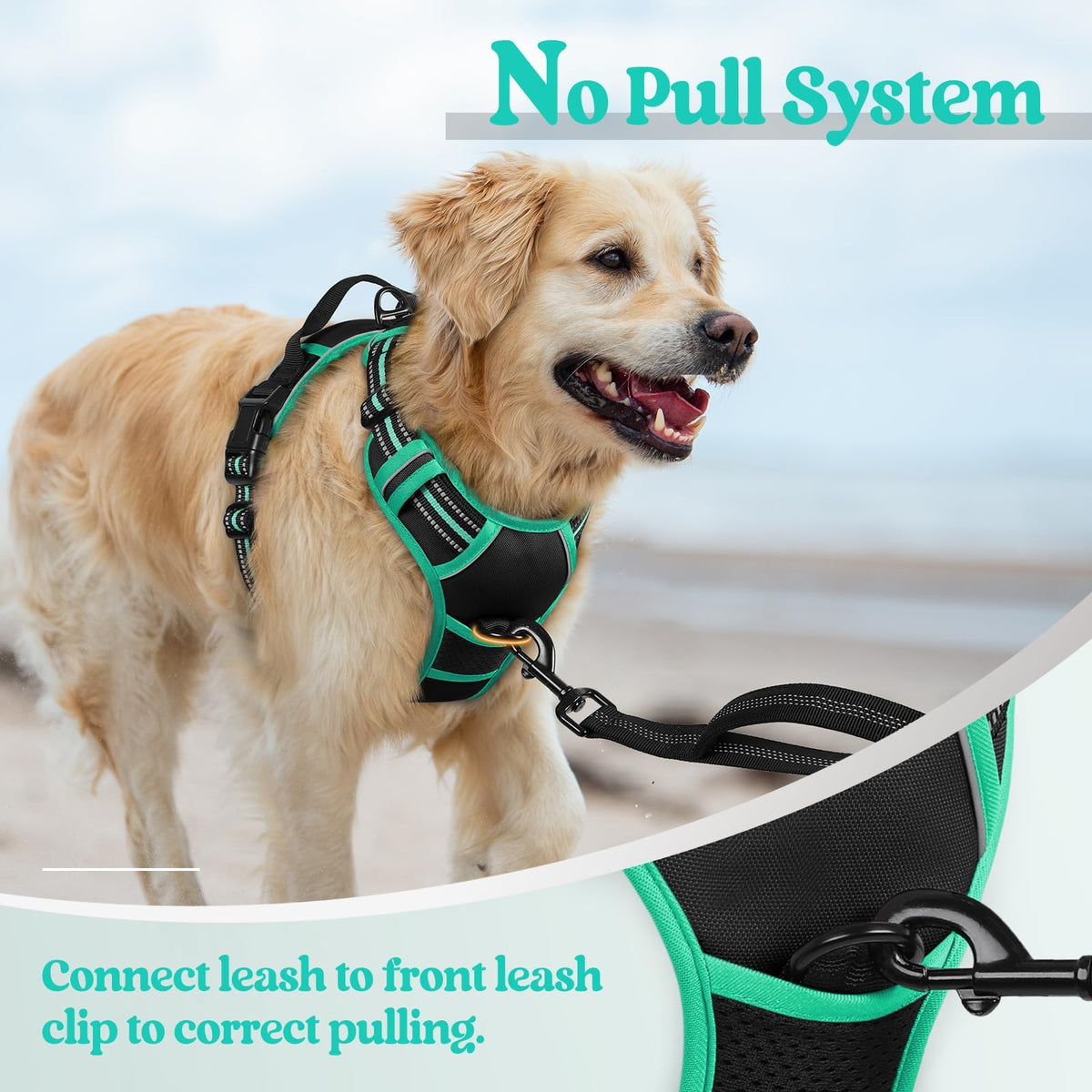 Dog Harness No Pull for Small Dogs with 2 Leash Clips (Small / Black & Turquoise)