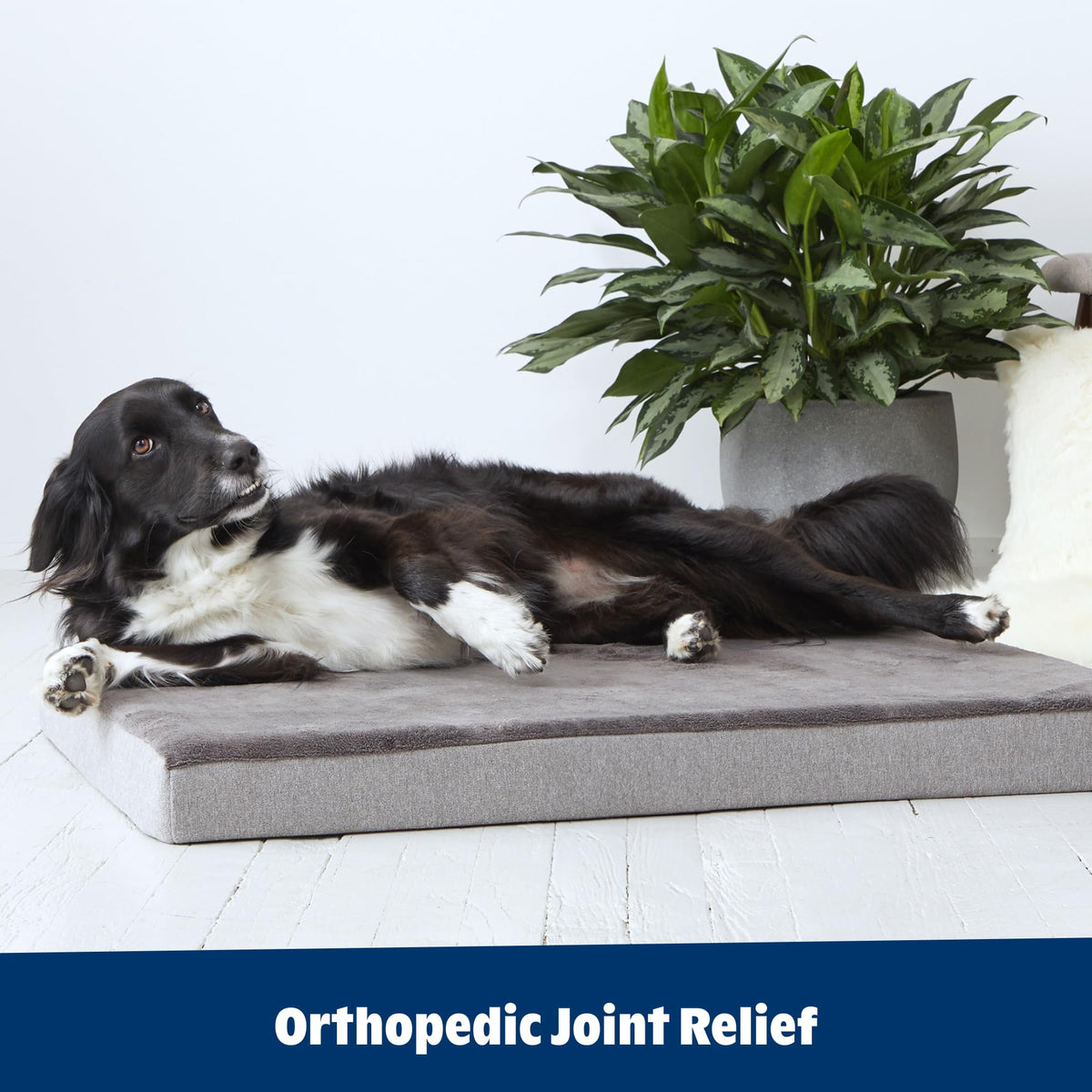 Orthopedic Dog Bed (Grey / Medium)