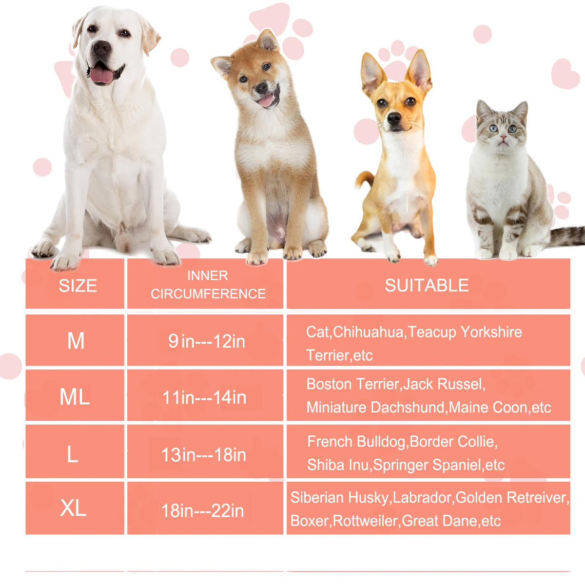Inflatable Dog Cone Collar with Enhanced Anti (Medium+ / Yellow Flower)