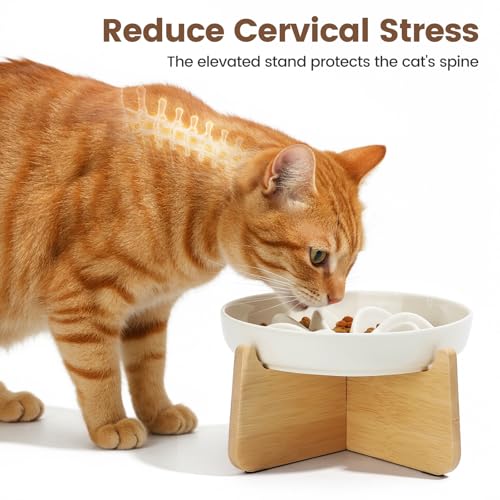 Slow Feeder Cat Bowl Elevated Ceramic with Bamboo Stand (Lotus)