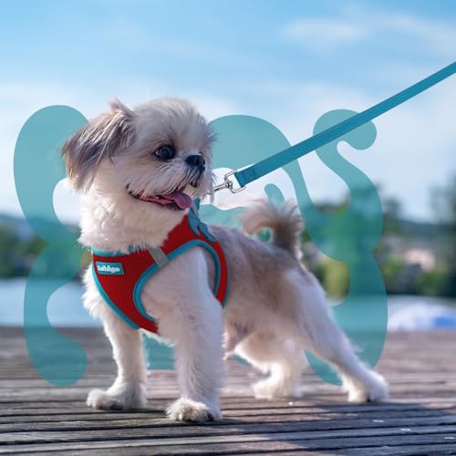 Dog Harness Small Sized and Leash Set (Red & Teal / XS (Chest: 13.3"-15.5"))