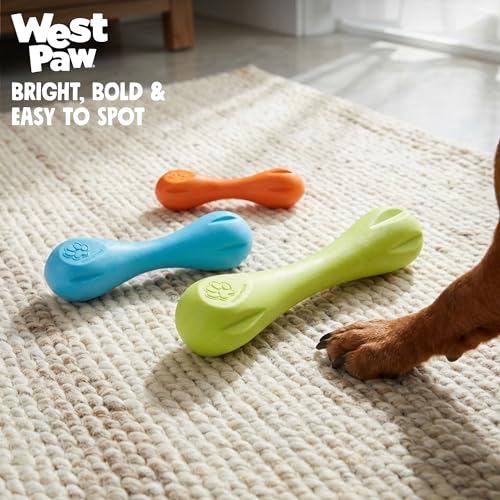 Zogoflex Hurley Dog Bone Chew Toy (X-Small / Aqua)