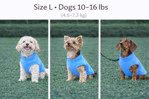 Dog Fleece Vest Sweater with Leash Ring (L (10-16lbs) / Blue)