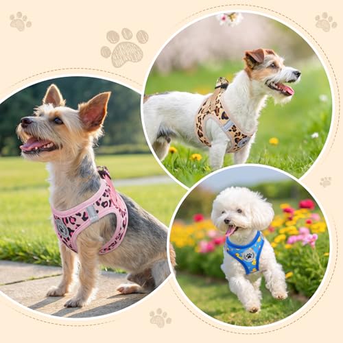 Small Dog Harness and Leash Set (XSmall(Chest Girth 13" - 14.5") / Leopard Pink)
