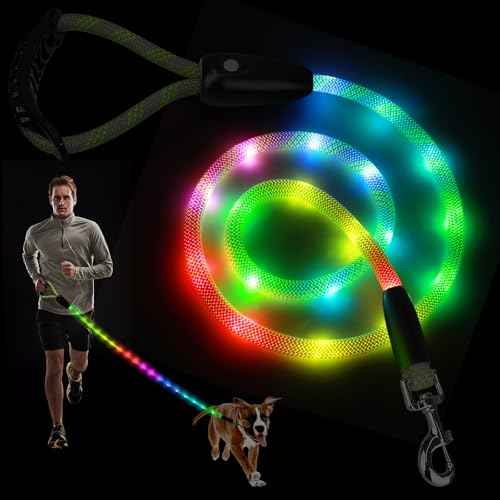 Light Up Dog Leash (6 Ft / RGB)