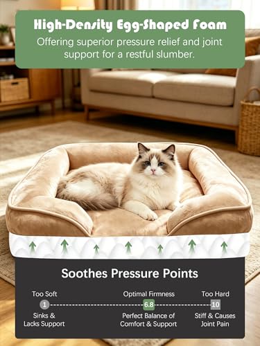 Orthopedic Dog Bed with Sides (24.0"L x 18.0"W x 6.0"Th / Brown)