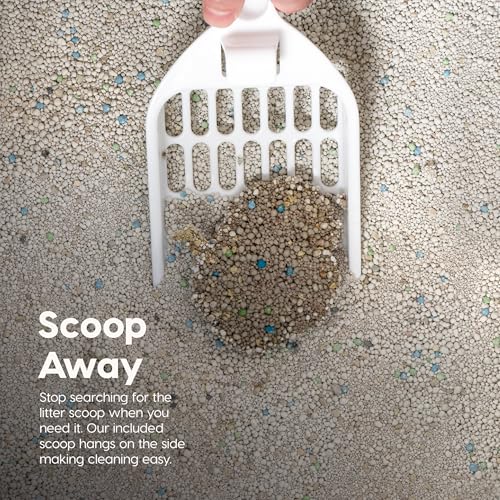 Top Entry Cat Litter Box (Oval / Gray w/ Scoop)