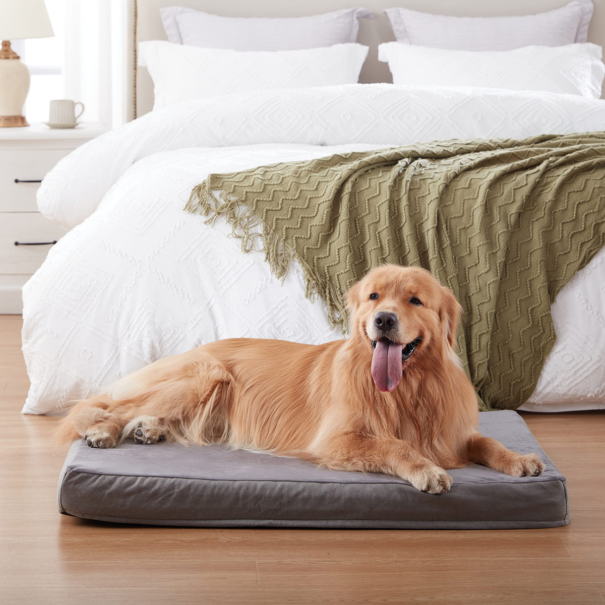 Jumbo Dog Bed for Large Dogs (Short Plush / XXX-Large-50"x 34" x 4")