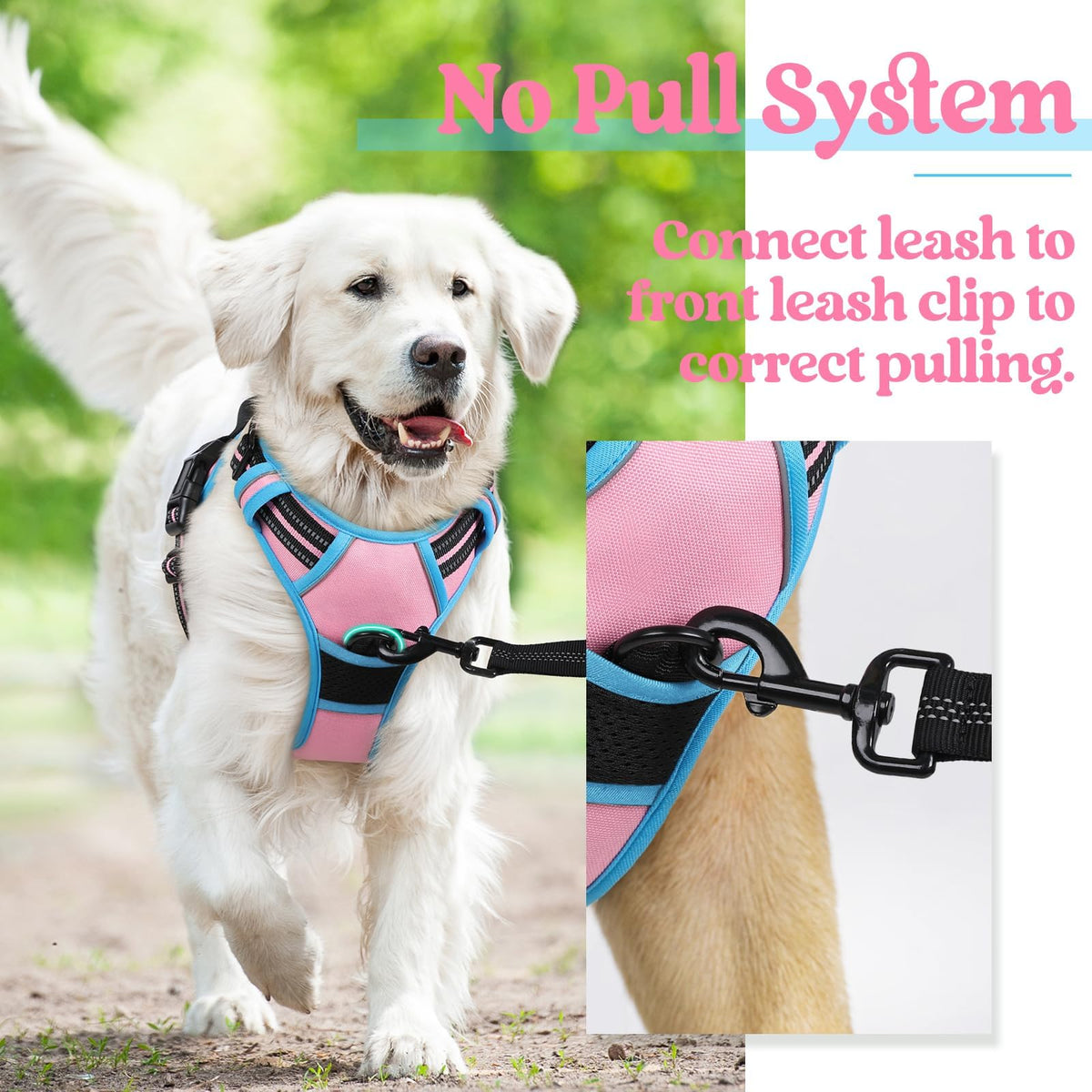 Dog Harness No Pull for Small Dogs with 2 Leash Clips (Small / Pink & Blue)