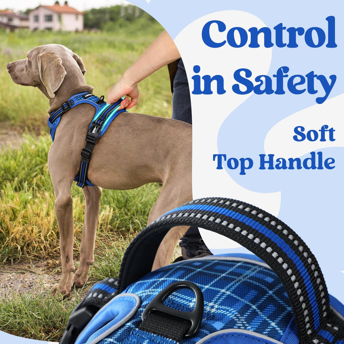 Dog Harness Medium Sized (Blue Plaid / Medium)