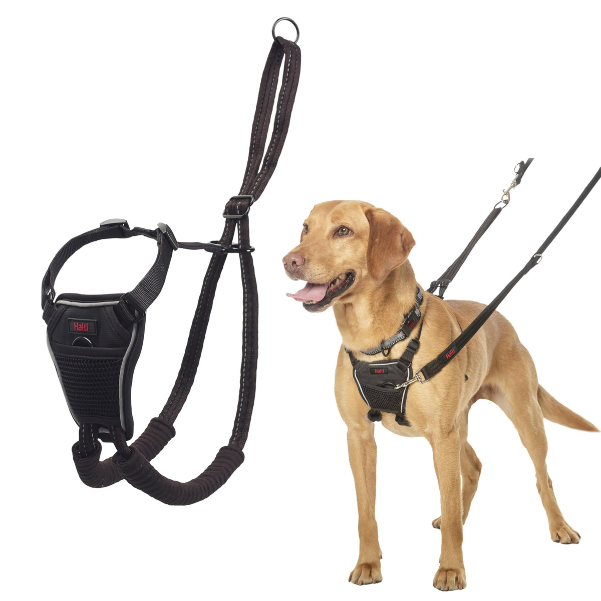 No Pull Dog Harness (Black / M)
