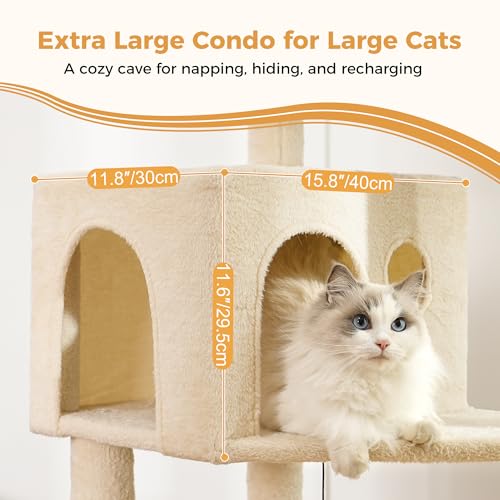 53”Cat Tree with Hammock & Oversized Top Bed for Big Cats (XLarge-53" / Beige)