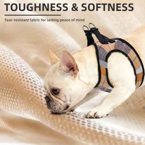 Dog Harness Collar and Leash Set No Pull for Small Medium Sized (Orange / XS (CHEST 13"-14.5"))