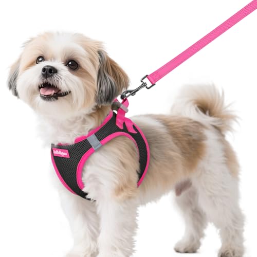Dog Harness Small Sized and Leash Set (Black & Rose Red / S (Chest: 15.1"-16.5"))