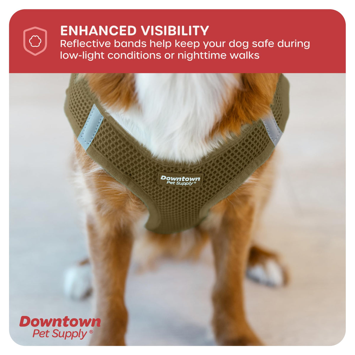 Step in Dog Harness No Pull (X-Large / Hunter Green)