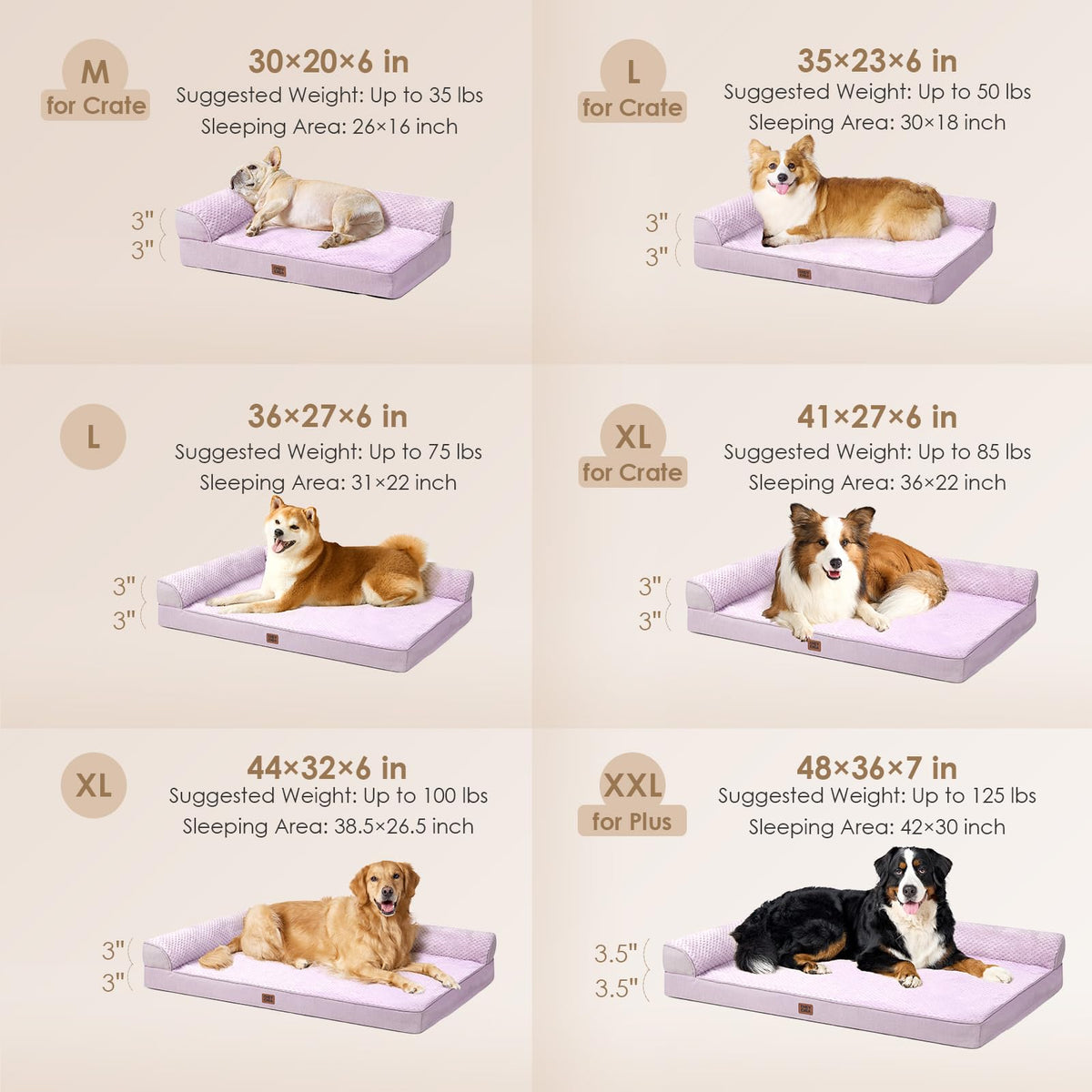 Orthopedic Dog Bed (Lilac / 35.0"L x 22.0"W x 6"Th)