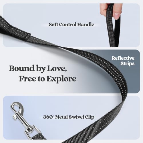 Dog Harness Small Sized and Leash Set (Black White Cow / Xs (chest: 13.3 - 15.5"))