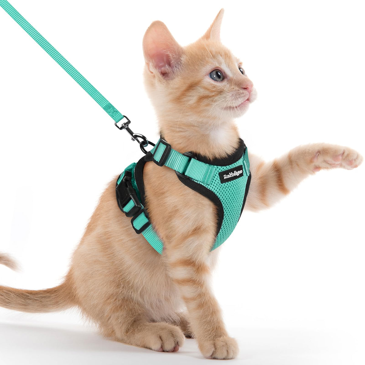 Cat Harness and Leash Set (Xxs / Emerald)