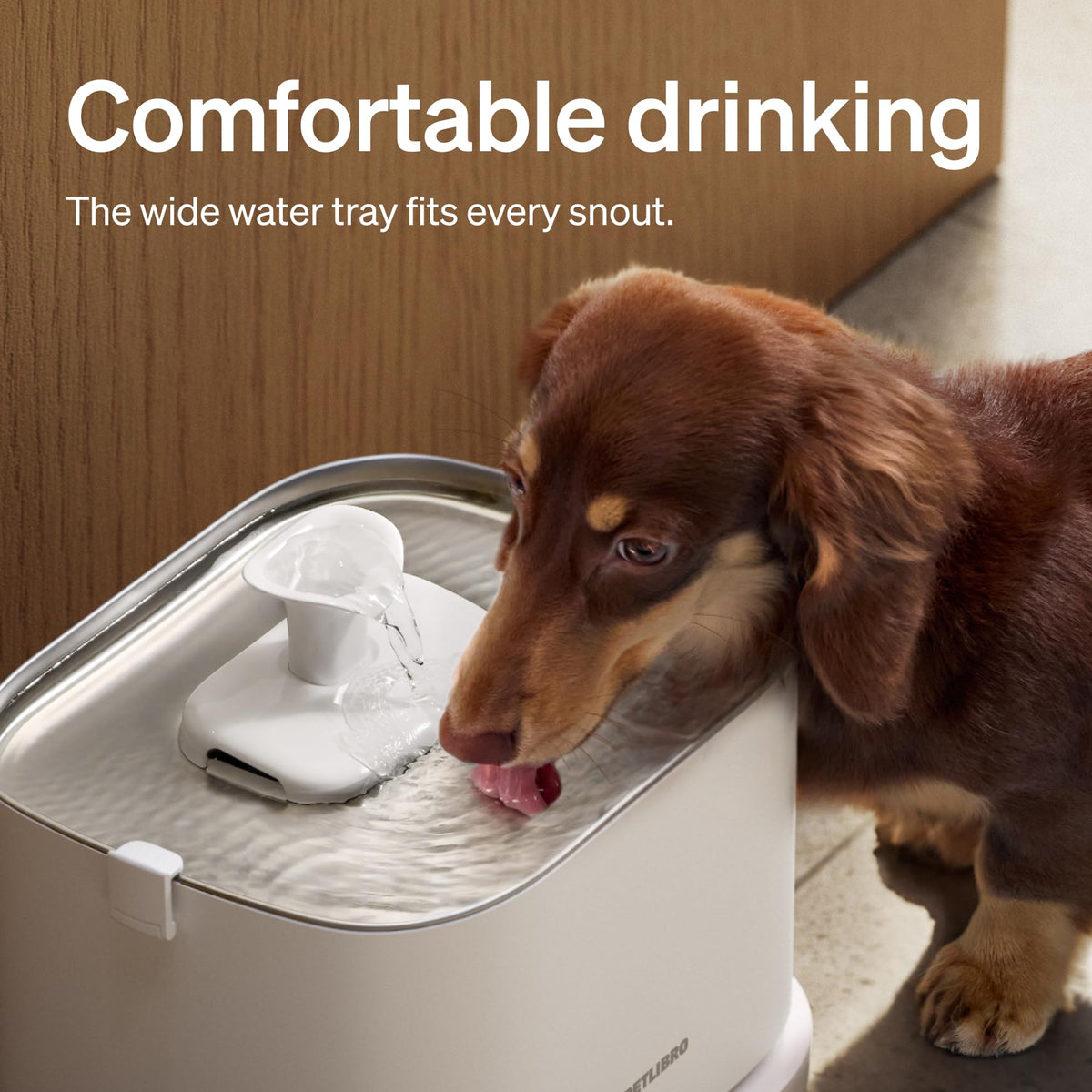 Quiet Dog Water Fountain Stainless Steel Tray (White / Fountain)