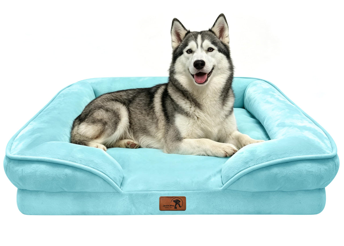 Orthopedic Dog Bed with Sides (38.0"L x 28.0"W x 6.5"Th / Ice Blue)