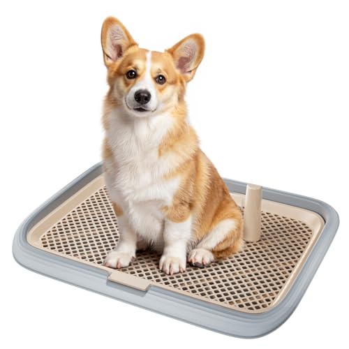 Dog Potty Tray (Gray)