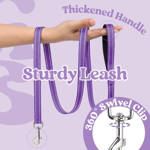 Dog Harness Small Sized and Leash Set (Light Purple & Purple / XS (Chest: 13.3"-15.5"))