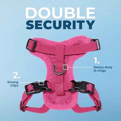 Voyager Step in Lock Cat Harness & Leash Set (Fuchsia / S (Chest: 15 - 18"))