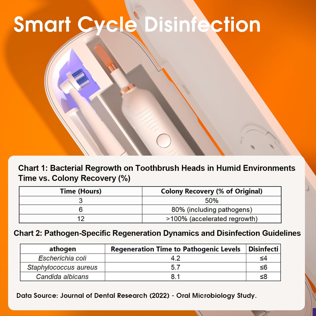 Toothbrush Sanitizer Portable Travel Case for Electric Toothbrushes (White)