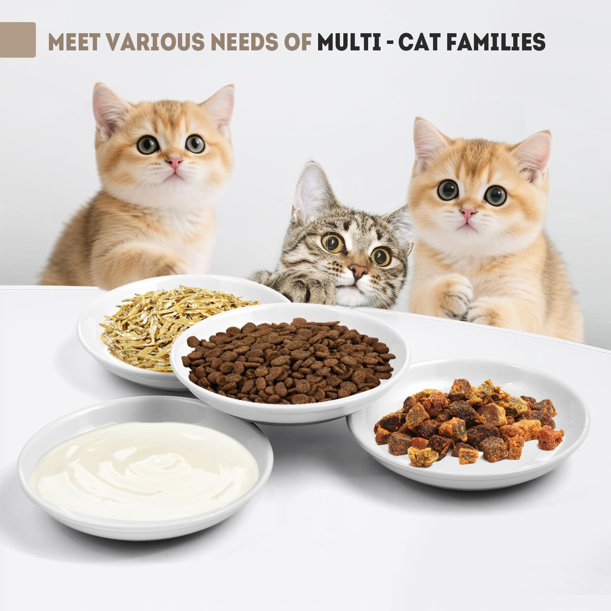 Cat Food Bowl (4pcs-White)