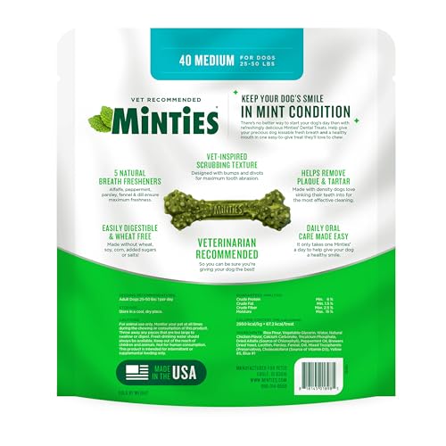 Mint Dental Chews for Dogs (Medium Dogs - 32oz)