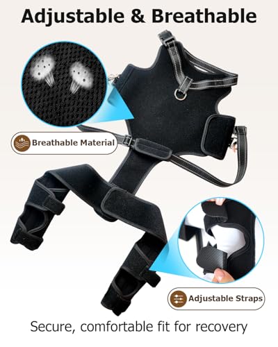 Adjustable Dog Knee Brace Lift Harness (S)