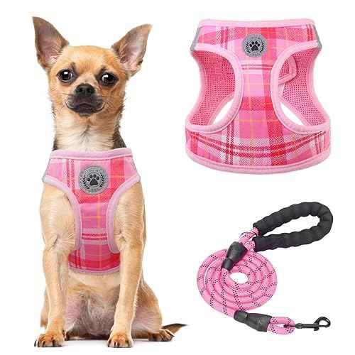 Small Dog Harness and Leash Set (Medium(Chest Girth 16" - 18") / Light Pink)