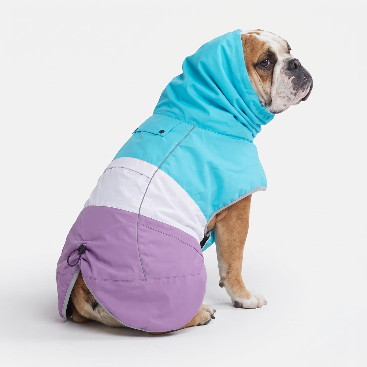 Dog Raincoat Waterproof Rain Jacket w (Aqua White Purple / XX-Large)