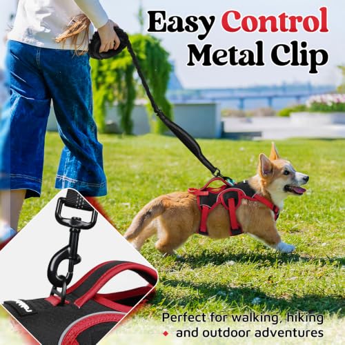 Escape Proof Dog Harness for Small (Red & Black / Small)